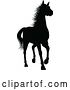 Vector Illustration of Horse Silhouette Animal by AtStockIllustration