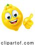 Vector Illustration of Lemon Fruit Emoticon Emoji Mascot Icon by AtStockIllustration