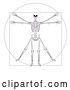 Vector Illustration of Leonard Da Vincis Skeleton Vitruvian Guy by AtStockIllustration