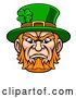 Vector Illustration of Leprechaun Mascot by AtStockIllustration