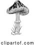 Vector Illustration of Mushroom Toadstool Fungus Vintage Engraved Woodcut by AtStockIllustration