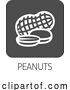 Vector Illustration of Peanut Nut Food Allergy Icon Concept by AtStockIllustration