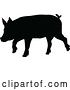 Vector Illustration of Pig Silhouette Farm Animal by AtStockIllustration