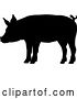 Vector Illustration of Pig Silhouette Farm Animal by AtStockIllustration