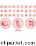 Vector Illustration of Pink Colored Business Related Circle Icons by AtStockIllustration