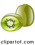 Vector Illustration of Shiny Organic Kiwi Fruits by AtStockIllustration