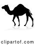 Vector Illustration of Silhouetted Camel, with a Reflection or Shadow, on a White Background by AtStockIllustration