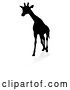 Vector Illustration of Silhouetted Giraffe, with a Reflection or Shadow, on a White Background by AtStockIllustration