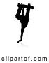 Vector Illustration of Silhouetted Male Skateboarder with a Reflection or Shadow, on a White Background by AtStockIllustration