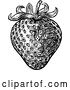 Vector Illustration of Strawberry Vintage Woodcut Illustration by AtStockIllustration