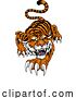 Vector Illustration of Tiger Angry Tigers Team Sports Mascot Roaring by AtStockIllustration