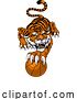 Vector Illustration of Tiger Basketball Ball Animal Sports Team Mascot by AtStockIllustration