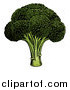 Vector Illustration of Woodblock Broccoli Crown by AtStockIllustration