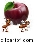 Vector Illustration of Worker Ants Carrying Away a Red Apple by AtStockIllustration