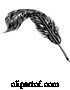 Vector Illustration of Writing Quill Feather Ink Pen by AtStockIllustration