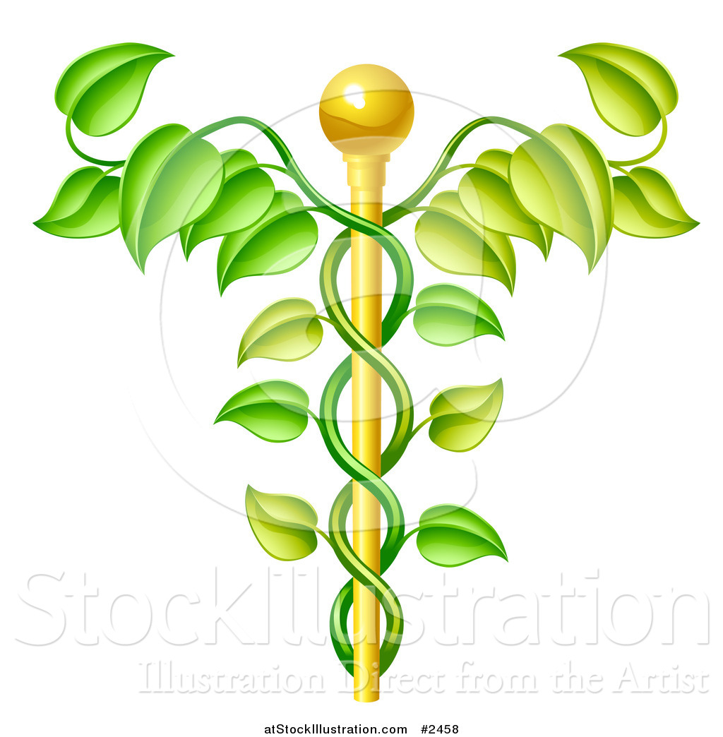 Vector Illustration of a 3d Natural Vine and Gold Staff Caduceus by ...