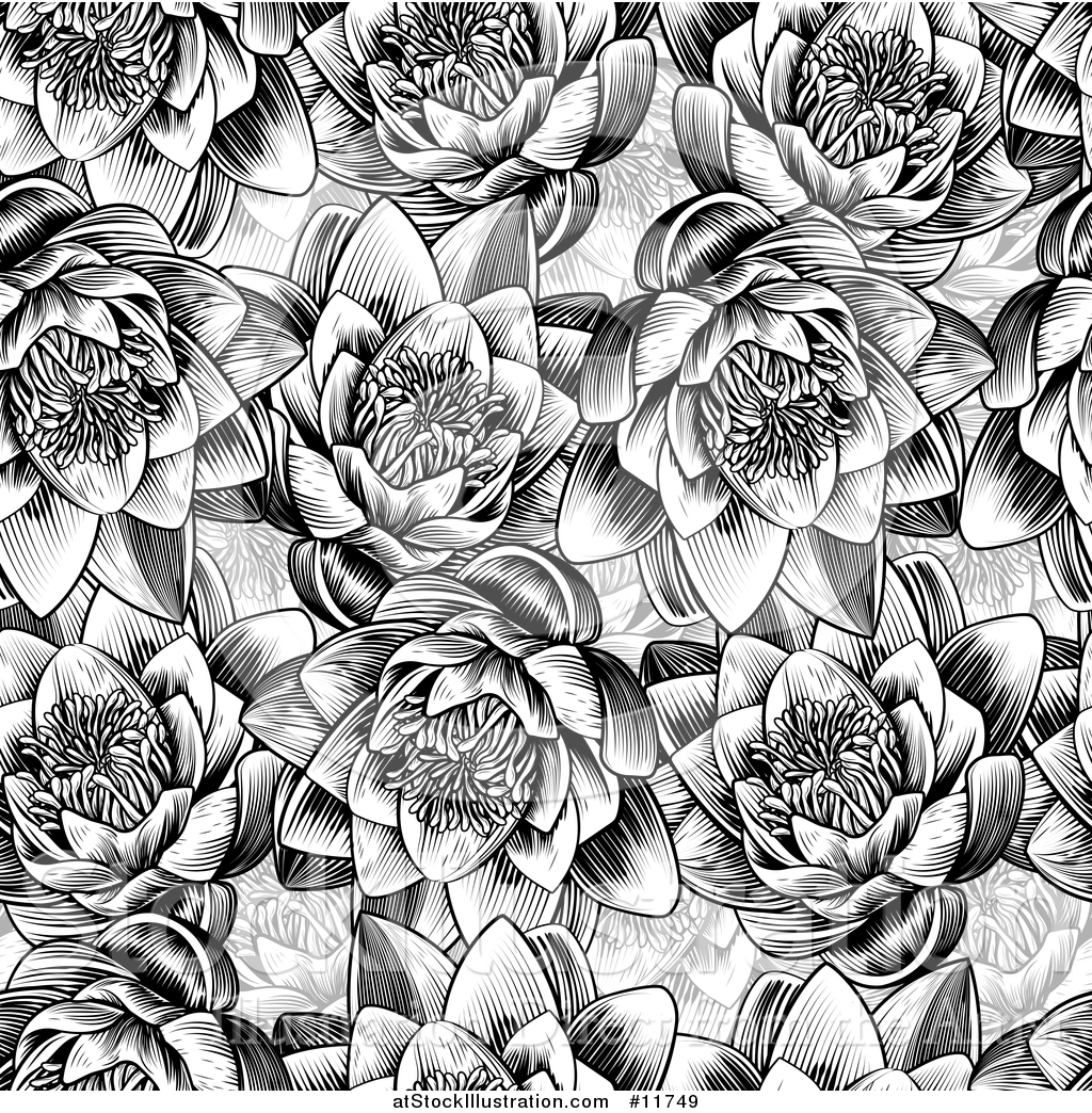 Vector Illustration of a Black and White Seamless Woodcut Styled Water Lily Lotus Flower ...
