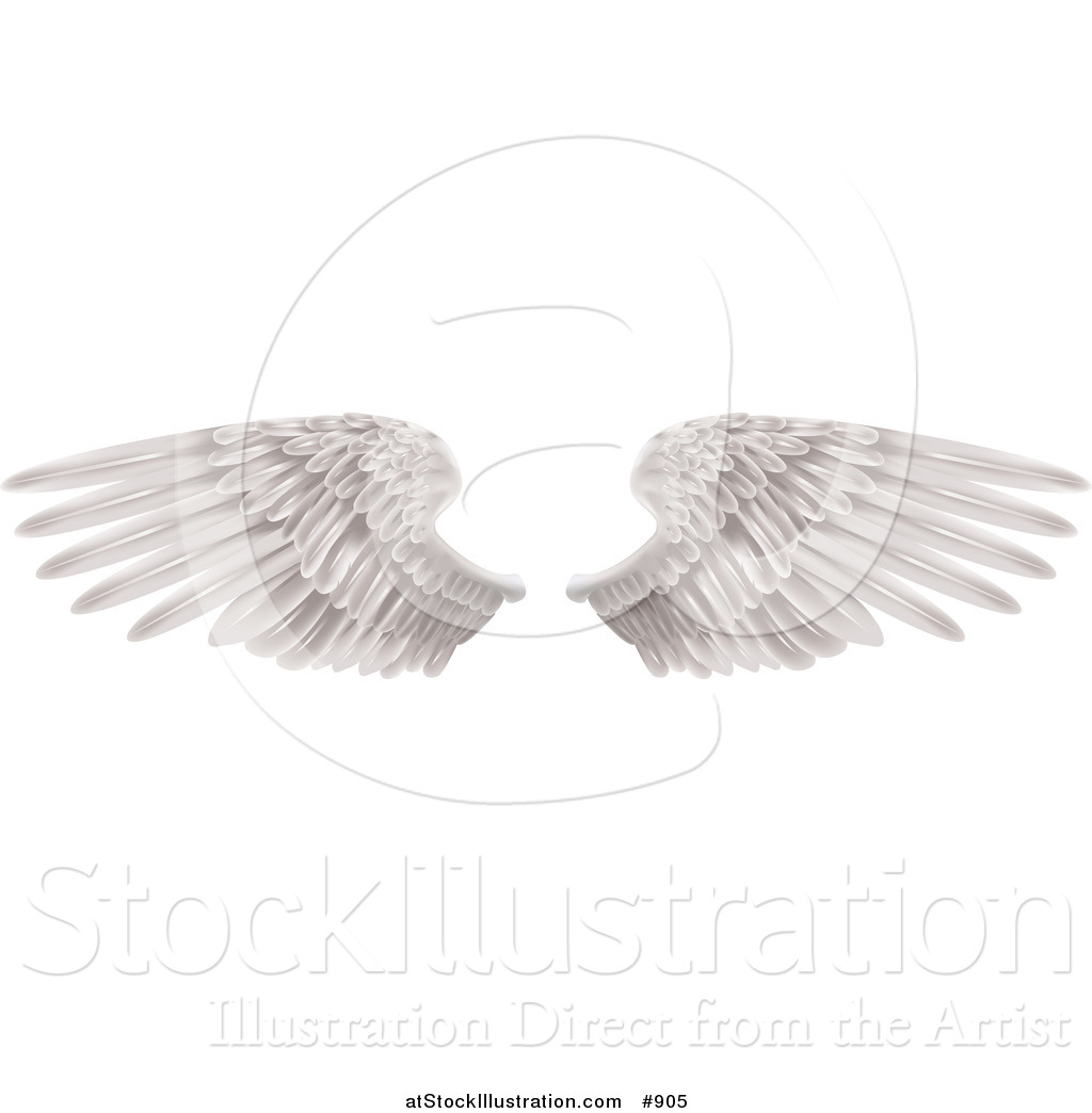 Vector Illustration of Two Large White Feathered Wings Spread Open ...