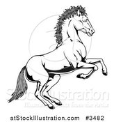 Illustration of a Black and White Rearing Horse by AtStockIllustration