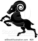 Illustration of a Black Ram: Capricorn the Zodiac by AtStockIllustration