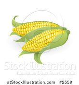 Vector Illustration of 3d Ears of Sweet Corn by AtStockIllustration