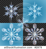 Vector Illustration of 3d Icy Snowlfakes on Blue and Blcak Patterns by AtStockIllustration