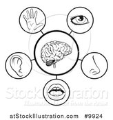 Vector Illustration of 5 Human Senses - Black and White Diagram by AtStockIllustration
