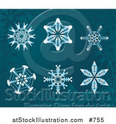 Vector Illustration of 6 Snowflake Designs on Teal by AtStockIllustration