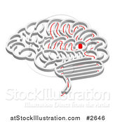 Vector Illustration of a 3d Brain Shaped Maze with a Red Path Leading to the Center by AtStockIllustration