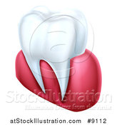 Vector Illustration of a 3d Human Tooth and Gums by AtStockIllustration