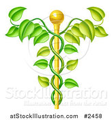 Vector Illustration of a 3d Natural Vine and Gold Staff Caduceus by AtStockIllustration