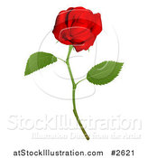 Vector Illustration of a 3d Red Long Stemmed Rose by AtStockIllustration