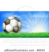 Vector Illustration of a 3d Soccer Ball in Grass at Sunrise by AtStockIllustration