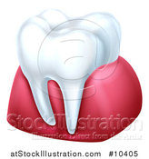 Vector Illustration of a 3d Tooth and Gums by AtStockIllustration