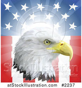 Vector Illustration of a Bald Eagle Head over an American Flag by AtStockIllustration