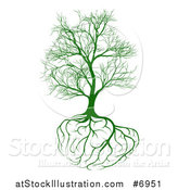 Vector Illustration of a Bare Green Tree with Brain Roots by AtStockIllustration