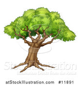Vector Illustration of a Beautiful Fairy Tale Styled Tree with Roots by AtStockIllustration