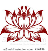 Vector Illustration of a Beautiful Lotus Water Lily Flower by AtStockIllustration