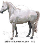 Vector Illustration of a Beautiful White Horse in Profile by AtStockIllustration
