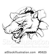 Vector Illustration of a Black and White Aggressive Boar Mascot Breaking Through a Wall by AtStockIllustration