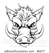 Vector Illustration of a Black and White Aggressive Boar Mascot Face by AtStockIllustration