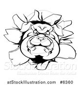Vector Illustration of a Black and White Aggressive Bulldog Breaking Through a Wall by AtStockIllustration