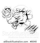 Vector Illustration of a Black and White Aggressive Clawed Boar Mascot Breaking Through a Wall by AtStockIllustration