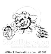 Vector Illustration of a Black and White Aggressive Raccoon Monster Shredding Through a Wall by AtStockIllustration