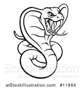 Vector Illustration of a Black and White Angry Green King Cobra Snake by AtStockIllustration