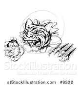 Vector Illustration of a Black and White Angry Tiger Mascot Slashing Through a Wall by AtStockIllustration