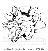 Vector Illustration of a Black and White Angry Vicious Fox Breaking Through a Wall by AtStockIllustration