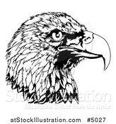 Vector Illustration of a Black and White Bald Eagle Head in Profile by AtStockIllustration