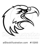 Vector Illustration of a Black and White Bald Eagle Mascot Head by AtStockIllustration