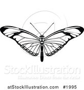Vector Illustration of a Black and White Butterfly or Moth by AtStockIllustration